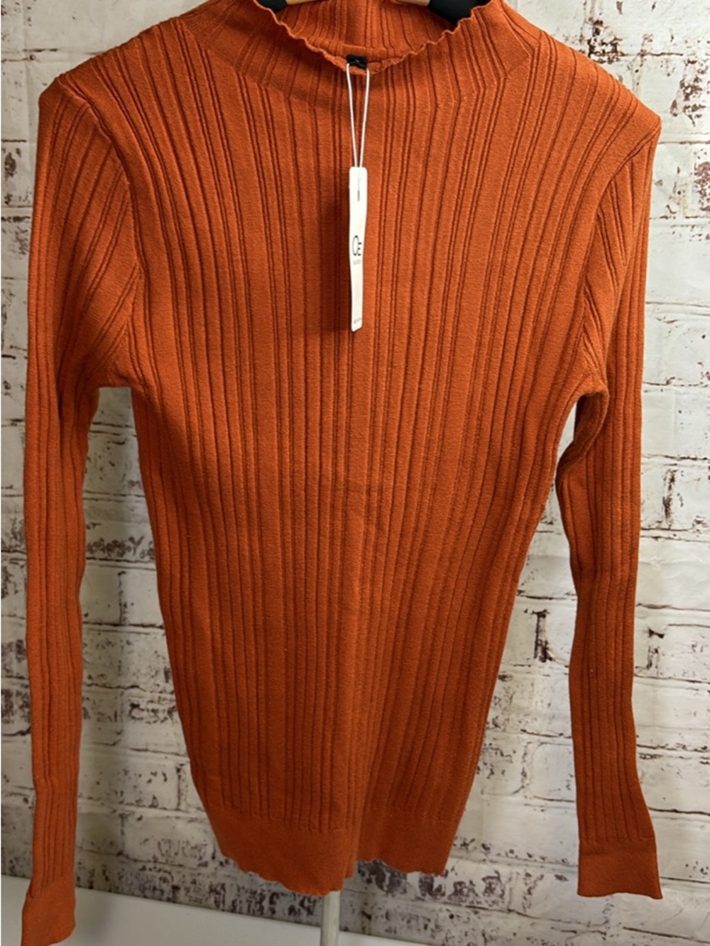 Slim Ribbed Mock Neck Sweater in Burnt Orange